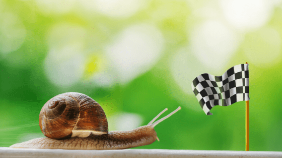 snail stop being a procrastinator