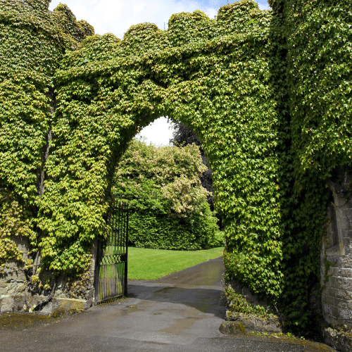 guarded garden save now for taxes