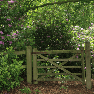 garden gate closing books