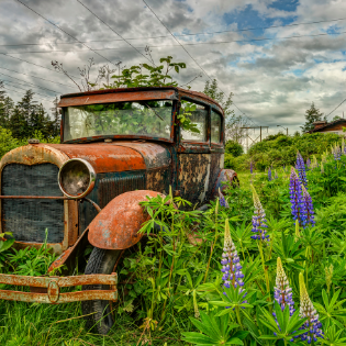 car in field Business vehicle expenses