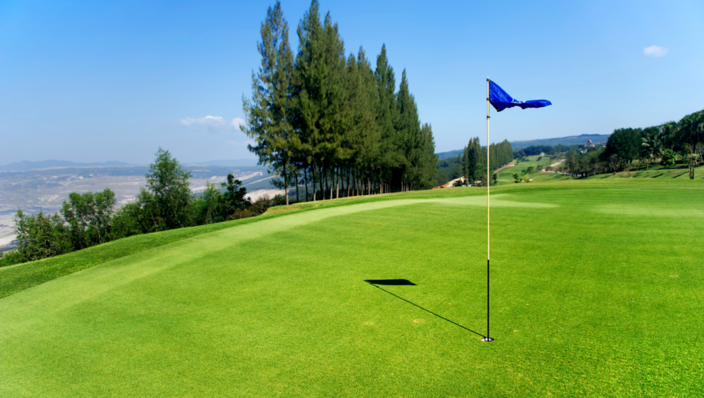 golf change goals