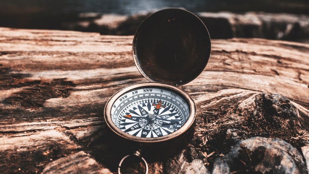 compass before making decisions